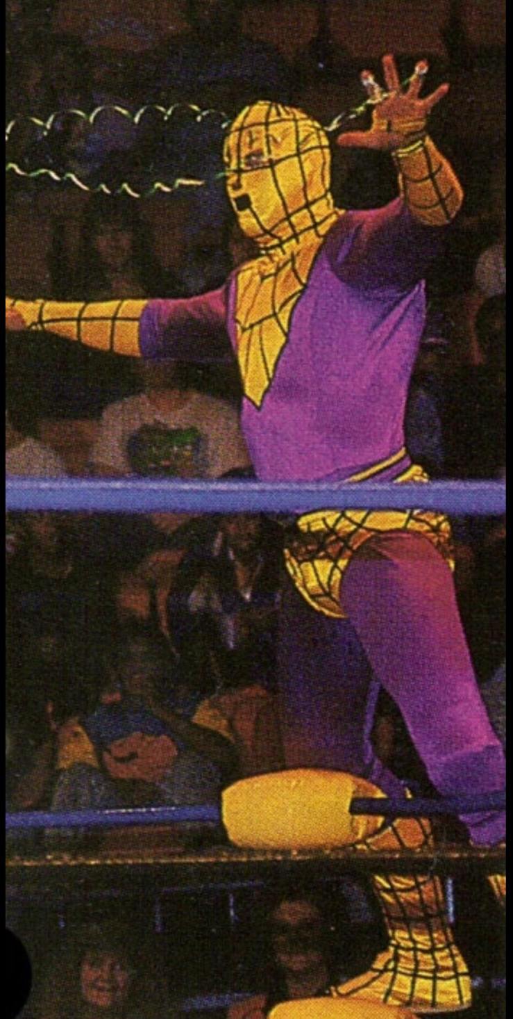 27335359_1752514128092316_1236764791_o